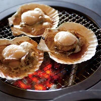 画像2283：煙突掃除ツール